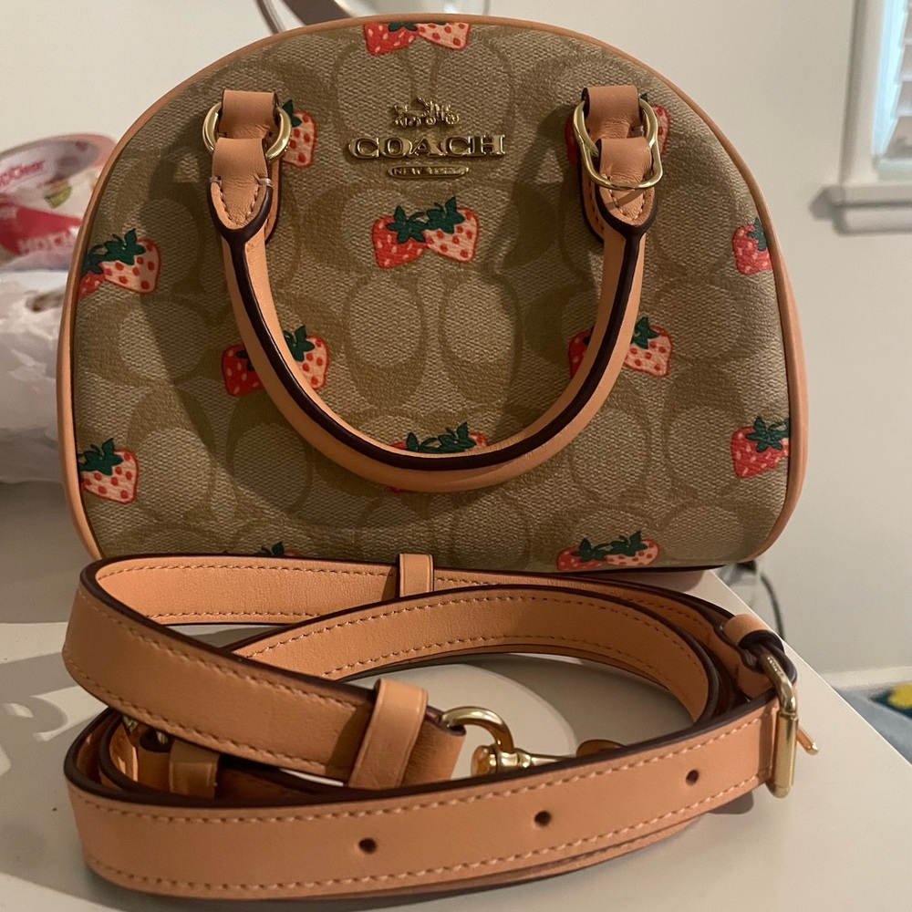 Coach Strawberry Purse